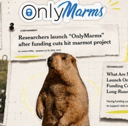 ONLYMARMS