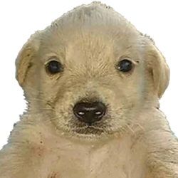 JOTCHUA