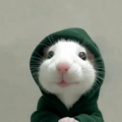 HOODRAT