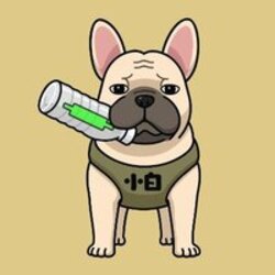 小白