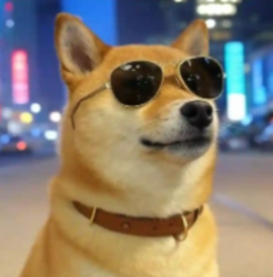 LP