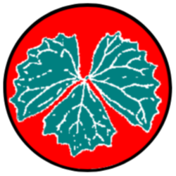 XVC