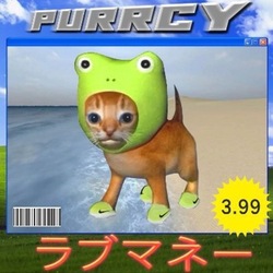 PURRCY