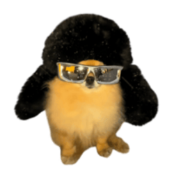 KORI