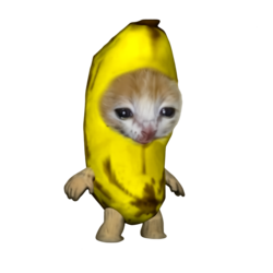 BCAT
