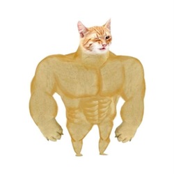 BUFFCAT