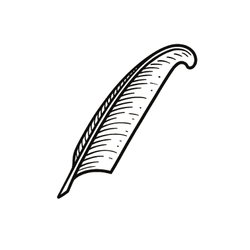 SN23
