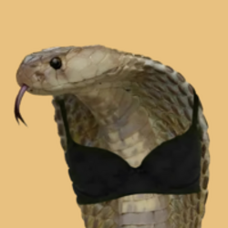 COBRA
