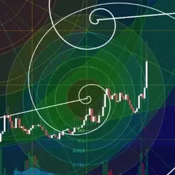 HODLBD
