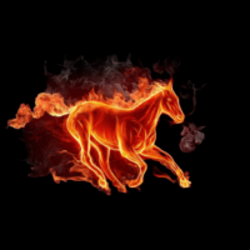 FIREHORSE