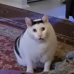 HUH