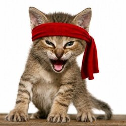 RAMBO