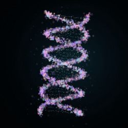 DNA