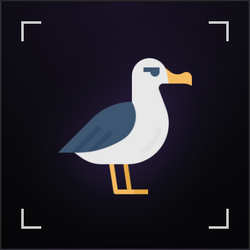 ALBATROSS