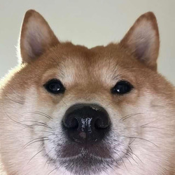 NINU