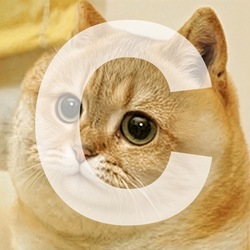 CATE