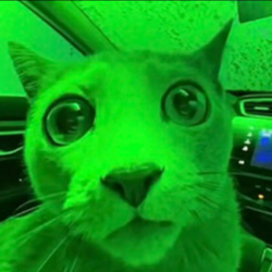 MARKETCAT
