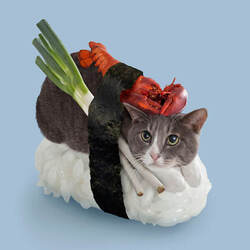 SUSHICAT