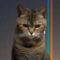 BCAT